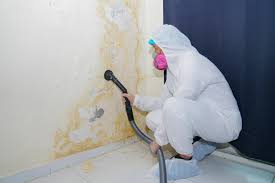 Mold Removal for HVAC Installations in Signal Hill, CA